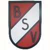 Wappen des bsv berg im grau