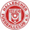 Wappen des Hallescher FC
