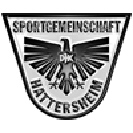 Wappen des Wappen SG DJK Hattersheim 1966