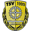 Vereins-Wappen