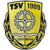 Wappen des TSV 1909 Gersthofen