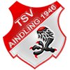 Wappen des TSV Aindling